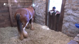 Ao cuidar e alimentar Lyon, Diego Grossi fica pensativo