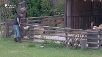 Diego Grossi acorda cedo, conversa com ovelhas e passeia com Lyon