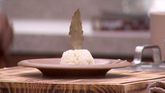 Davi decora prato de arroz e feijão do Tá com Nada