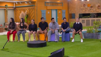Enquete BBB 25: qual foi o auge do nono Sincerão?