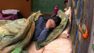 Fernanda chora no Quarto Gnomo do BBB 24: 'Sou uma imbecil'