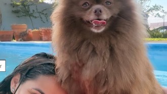 Key Alves desabafa um dia antes de dar à luz: 'Chorei muito'