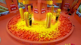 Prova do Líder de Resistência do BBB 24 completa 13 horas