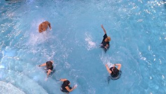 Resumo BBB: veja os vídeos do dia 19/04/2023 – Click BBB