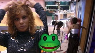 Sapo surge na sala no BBB 23 e pega sisters de surpresa