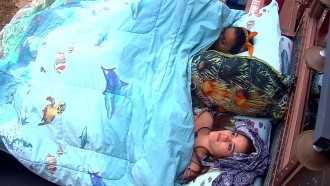 Gleici usa almofadas para dividir cama com Ana Clara após 'discussão'