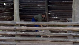 Hari Almeida passa perrengue com porquinho teimoso: 'Pra fora!'