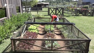 Indicada à próxima Roça, Aricia Silva cuida de horta sozinha