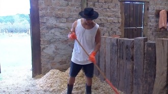 Lucas Viana é encarregado de limpar baia do cavalo Lyon