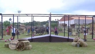 Netto vence Lucas em brincadeira e ganha tarde de açaí e sorvete