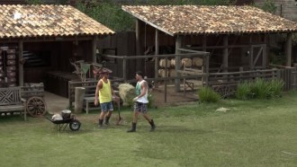 Novo fazendeiro, Phavanello ensina Diego Grossi a cuidar das lhamas