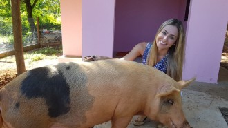Paula, do BBB19, ama animais e tem uma porca de estimação