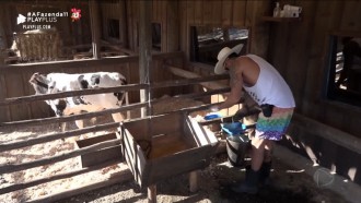 Peões acordam e fazem as tarefas do dia