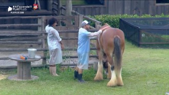 Peões aproveitam os últimos momentos antes da roça