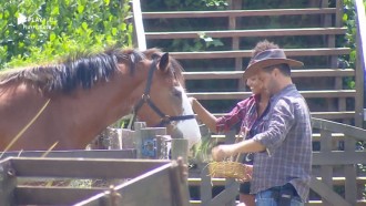Rodrigo Phavanello e Sabrina Paiva brincam com o cavalo Lyon