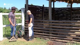 Rodrigo Phavanello ensina Viny Vieira a cuidar dos porcos