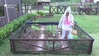 Veja 4 vezes que os peões foram surpreendidos pela chuva