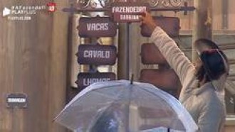 Você sabe como a Fazendeira Sabrina fez a divisão de tarefas?