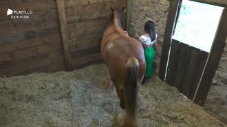 Tays cuida do cavalo Lyon - A Fazenda 12
