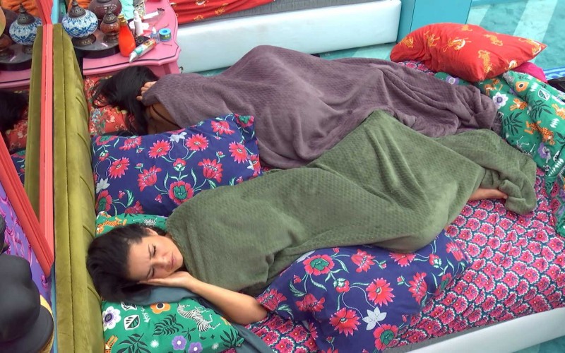 No BBB21, brothers são acordados  após Eliminação de sister