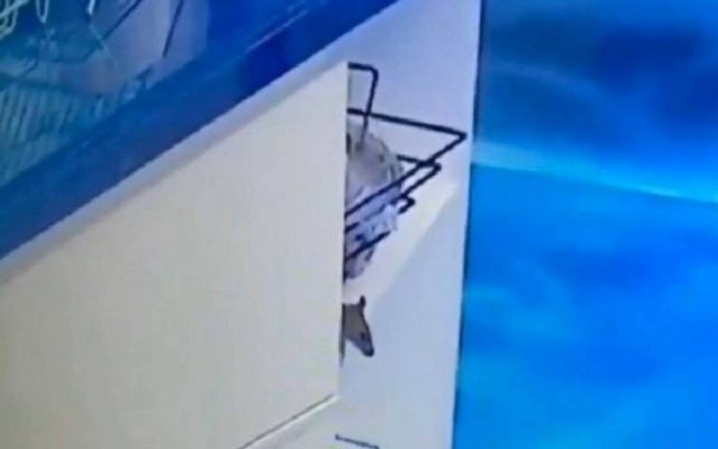 Genilson, o Rato que apareceu na casa ganha Instagram