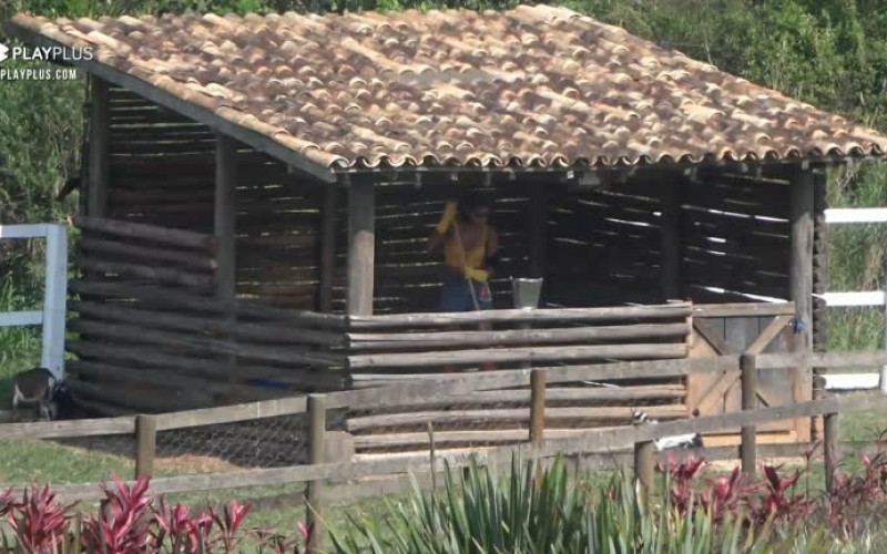 Jakelyne cuida das cabras - A Fazenda 12