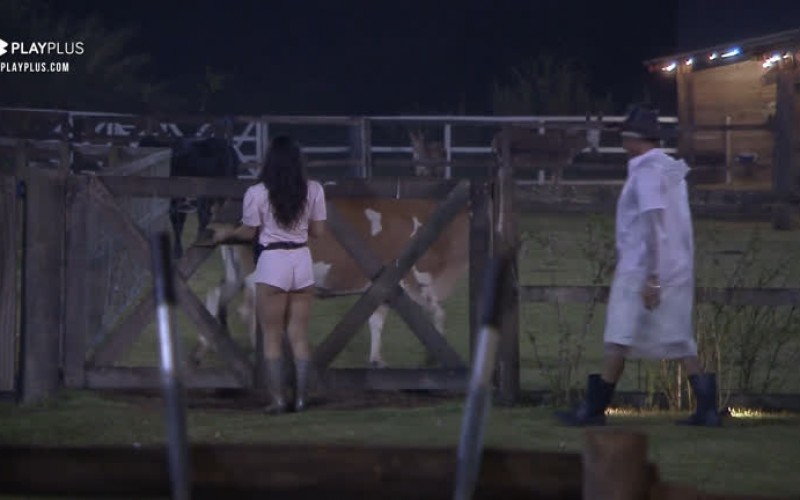 Peões esquecem de prender vaca - A Fazenda 12